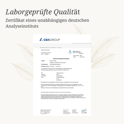 BÄRBEL DREXEL Plant Circulatory Drops Dizziness Due to Low Blood Pressure (30 ml) Vegan Made in Germany Ginkgo + Rosemary + Hawthorn, Cardiovascular Drops, Alcohol-Free