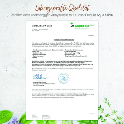 BÄRBEL DREXEL Aqua Silicia Colloidal Silicon in Levitated Revitalised Water (250 ml) Vegan Manufacture Germany Connective Tissue Skin Hair Nails Cartilage Natural Silicon Dioxide