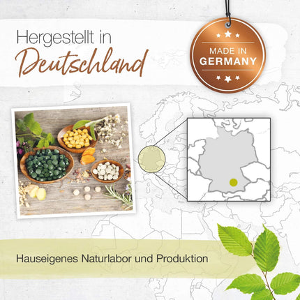 BÄRBEL DREXEL Plant Circulatory Drops Dizziness Due to Low Blood Pressure (30 ml) Vegan Made in Germany Ginkgo + Rosemary + Hawthorn, Cardiovascular Drops, Alcohol-Free