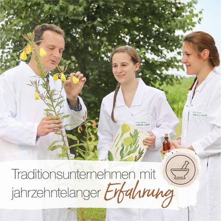 BÄRBEL DREXEL Plant Circulatory Drops Dizziness Due to Low Blood Pressure (30 ml) Vegan Made in Germany Ginkgo + Rosemary + Hawthorn, Cardiovascular Drops, Alcohol-Free