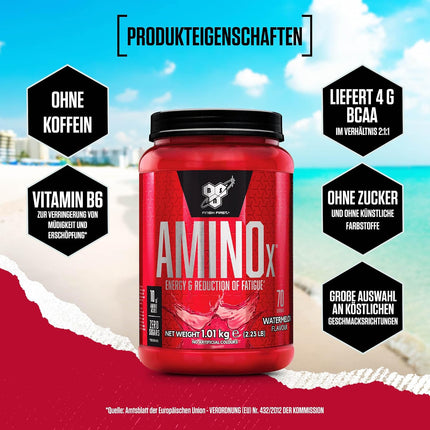 BSN Amino X BCAA Powder, Sugar-Free Amino Acids Complex High Dose with Vitamin D, Vitamin B6, Arginine P8533 Watermelon 1