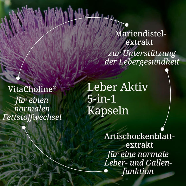 BÄRBEL DREXEL Liver Active 5-in-1 Capsules with Choline, Milk Thistle, Dandelion, Artichoke, Piperine, Zinc, Vitamin E, Selenium (Pack of 60) Liver Capsules Natural Healing Bitter Substances